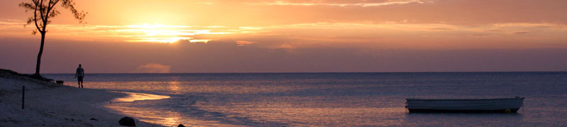 Galerie Photo