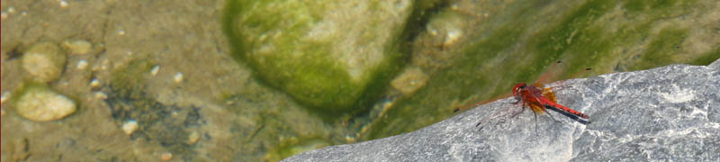 Galerie Photo