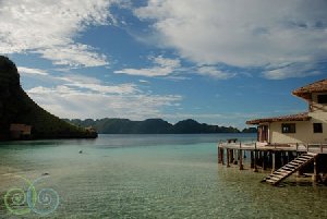 Galerie Photo