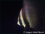 Galerie Photo