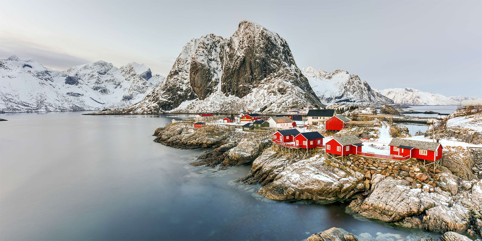 Rorbus rouges