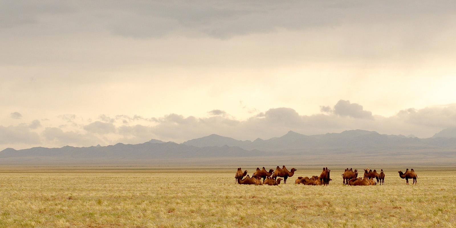 Mongolia de HerbertBieser