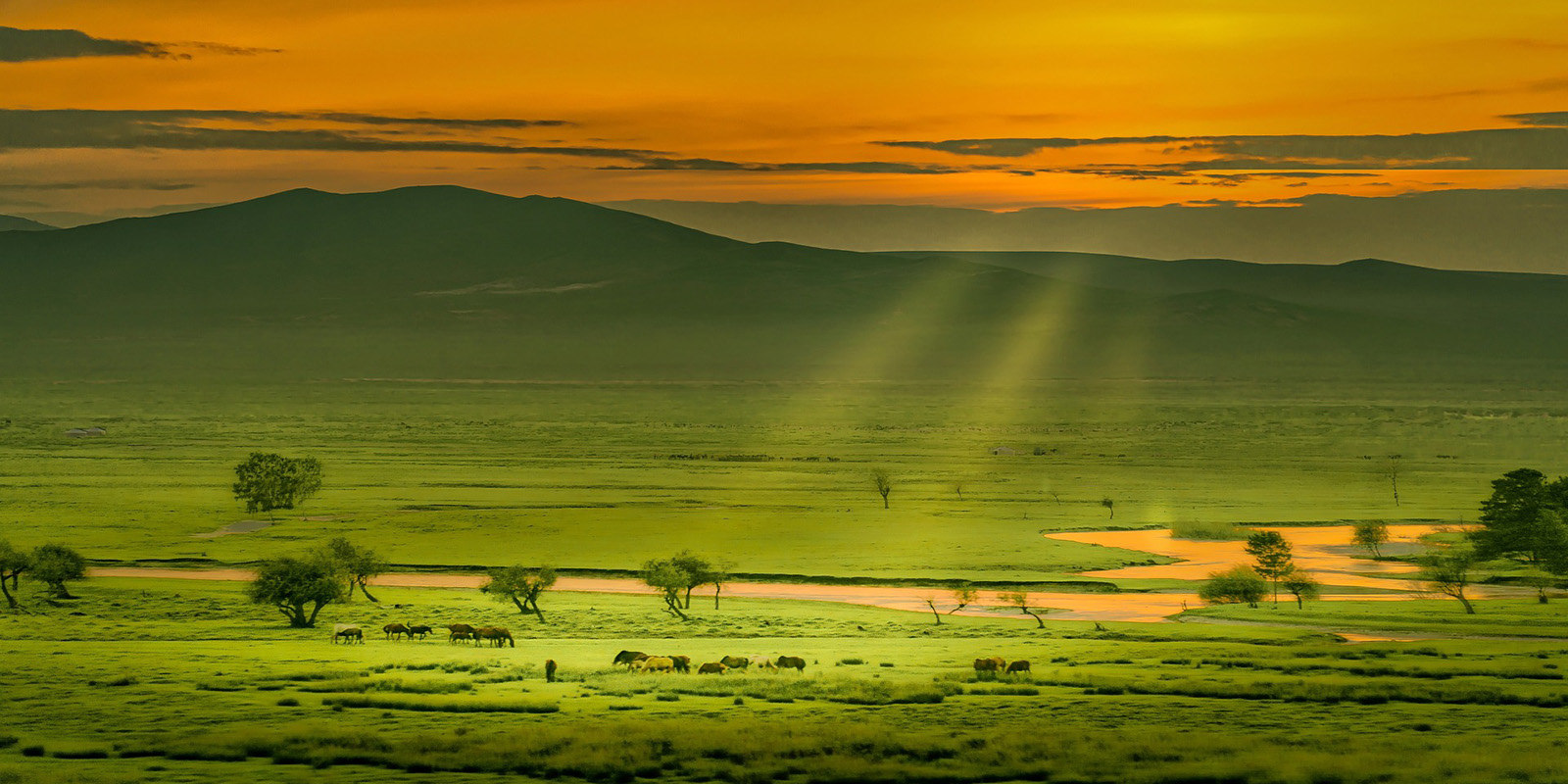 Mongolia de Jeremy Zhu